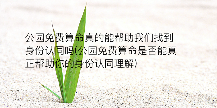 诸葛免费测字抽签游戏截图