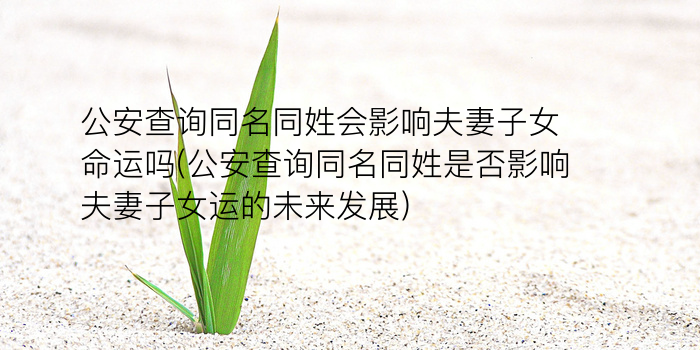 周易带方字取名字游戏截图