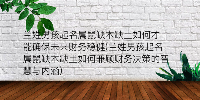 兰姓男孩起名属鼠缺木缺土如何才能确保未来财务稳健(兰姓男孩起名属鼠缺木缺土如何兼顾财务决策的智慧与内涵)