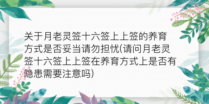 二零二算运网