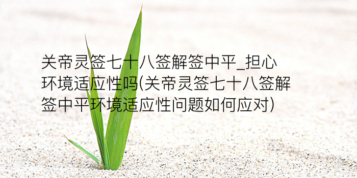 吕祖灵签阿启游戏截图