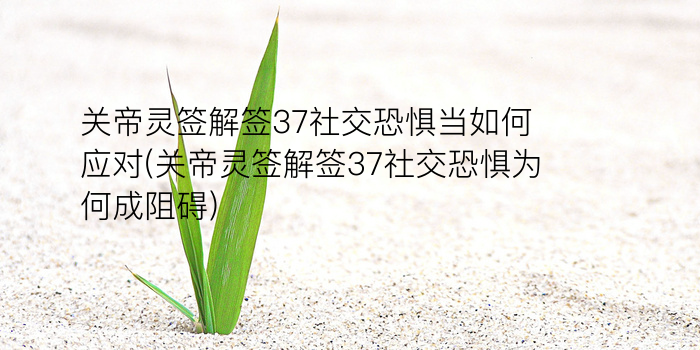 吕祖灵签37签解签游戏截图