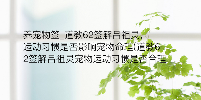 佛祖灵签21游戏截图