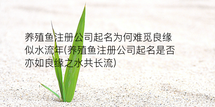 养殖鱼注册公司起名为何难觅良缘似水流年(养殖鱼注册公司起名是否亦如良缘之水共长流)