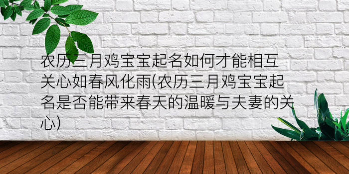 农历三月鸡宝宝起名如何才能相互关心如春风化雨(农历三月鸡宝宝起名是否能带来春天的温暖与夫妻的关心)