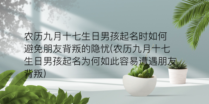 起名网男孩游戏截图