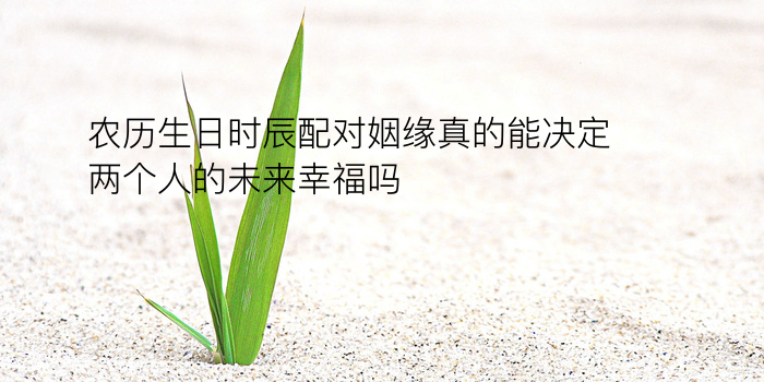 生日配对网站手机号查询游戏截图