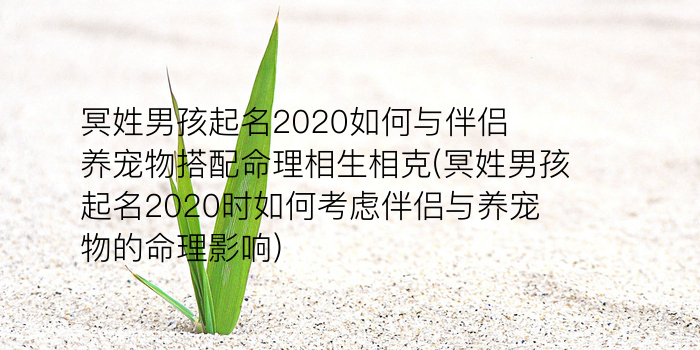 周易起名字八字取名游戏截图