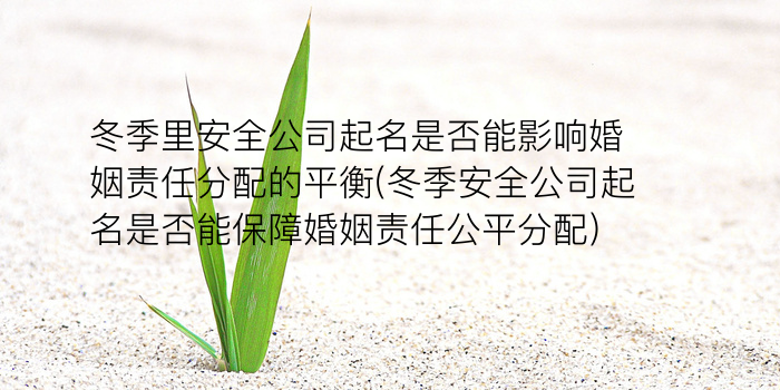 同村同名同姓游戏截图