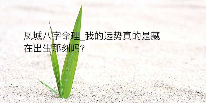 起名与八字游戏截图