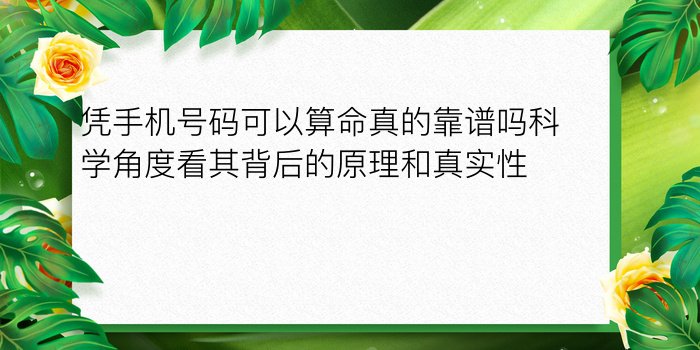 号令天下车牌号码测吉凶游戏截图