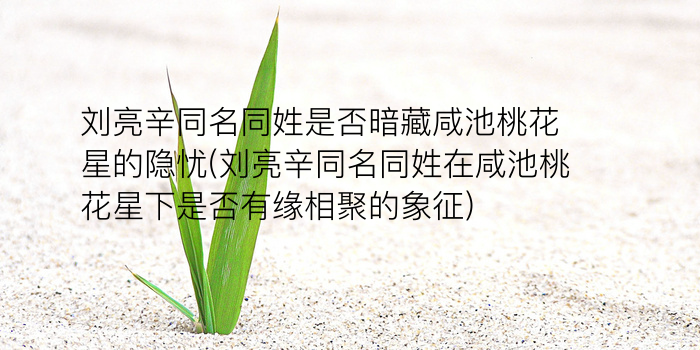 吕姓宝宝起名游戏截图