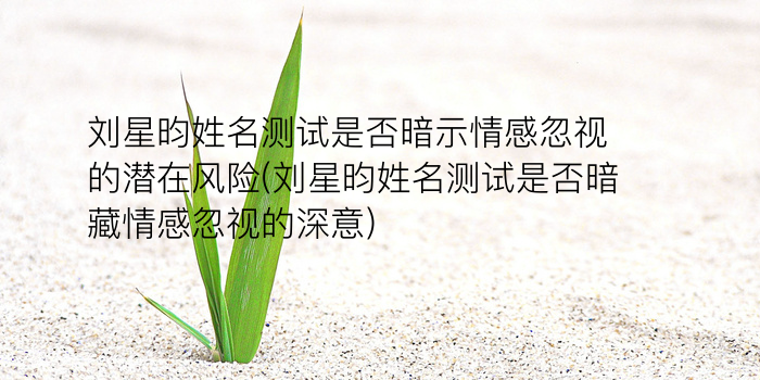 姓名生辰测试游戏截图