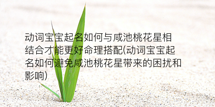 姊燕同名同姓游戏截图