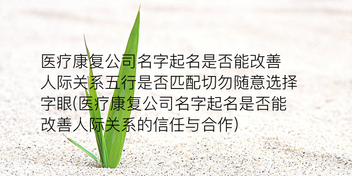 八字宝宝起名游戏截图