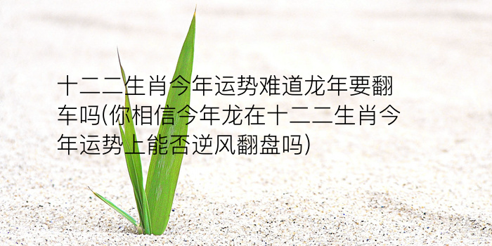 生肖测算命运免费游戏截图