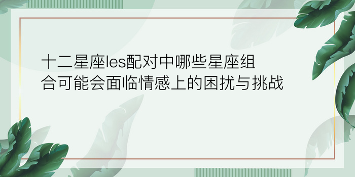 十二星座les配对中哪些星座组合可能会面临情感上的困扰与挑战