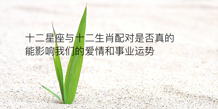 生日配对测试爱情运势游戏截图