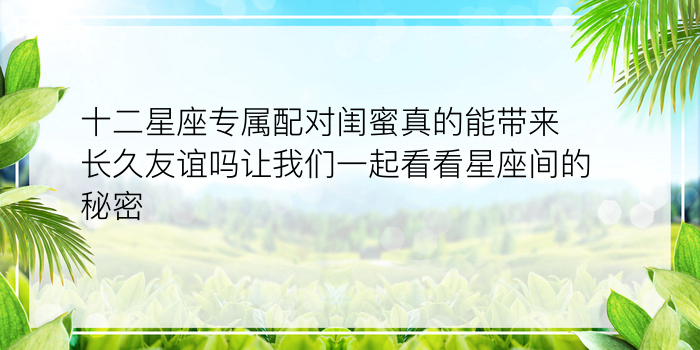 十二星座专属配对闺蜜真的能带来长久友谊吗让我们一起看看星座间的秘密