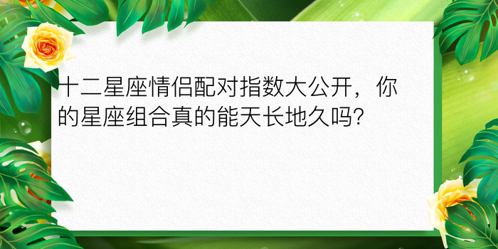 十二星座情侣配对指数大公开，你的星座组合真的能天长地久吗？