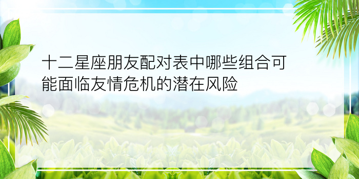 十二星座朋友配对表中哪些组合可能面临友情危机的潜在风险