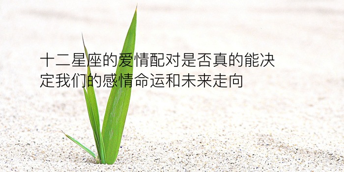 属虎属相婚配游戏截图