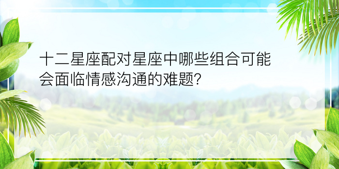 十二星座配对星座中哪些组合可能会面临情感沟通的难题？