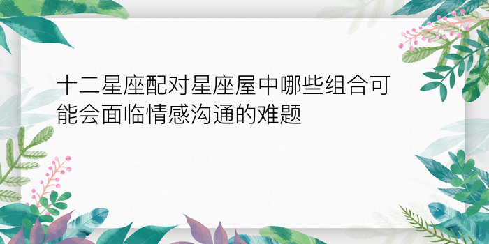 姓名生日配对99166游戏截图