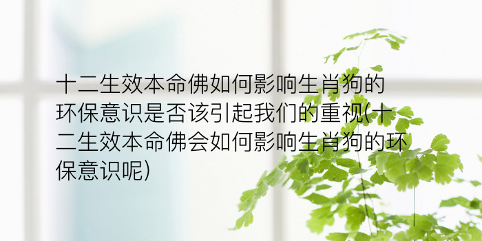 十二生效本命佛如何影响生肖狗的环保意识是否该引起我们的重视(十二生效本命佛会如何影响生肖狗的环保意识呢)