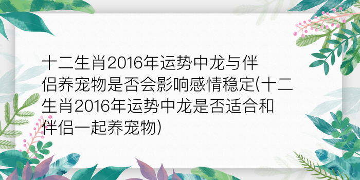 属兔的犯太岁游戏截图