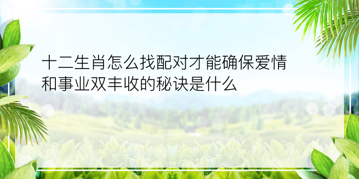 十二生肖怎么找配对才能确保爱情和事业双丰收的秘诀是什么