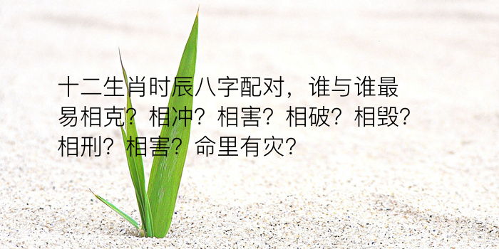 十二生肖时辰八字配对，谁与谁最易相克？相冲？相害？相破？相毁？相刑？相害？命里有灾？