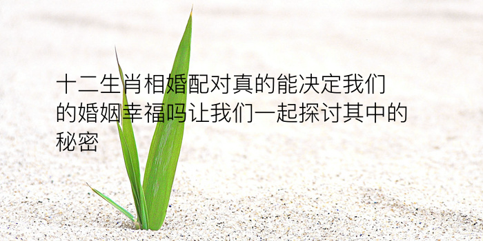 汽车牌子吉凶游戏截图