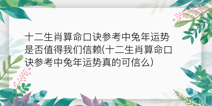 二零二算运网