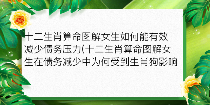 十二生肖算命图解女生如何能有效减少债务压力(十二生肖算命图解女生在债务减少中为何受到生肖狗影响)