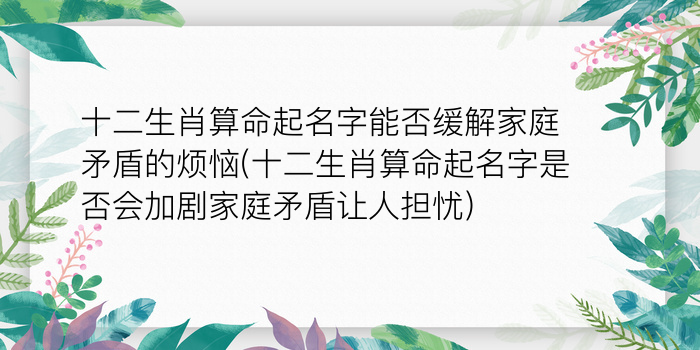 本命年好还是不好游戏截图