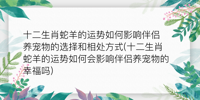 二零二算运网