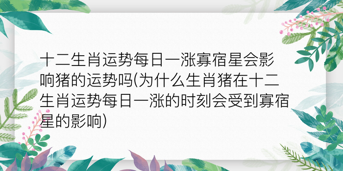 二零二算运网