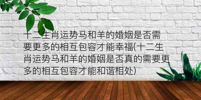 十二生肖算命大全2019游戏截图