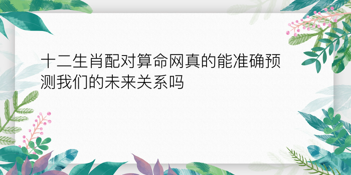 十二生肖配对算命网真的能准确预测我们的未来关系吗