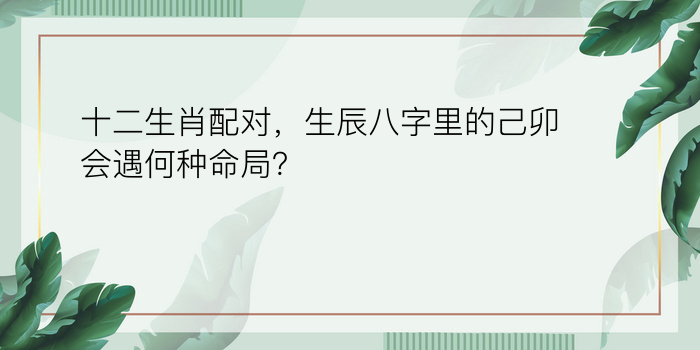 易经看八字运程游戏截图