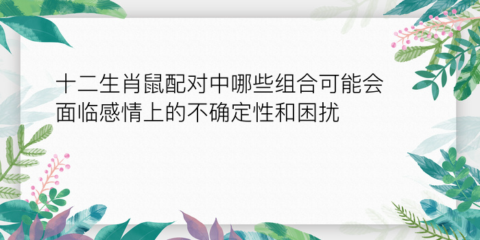 十二生肖鼠配对中哪些组合可能会面临感情上的不确定性和困扰