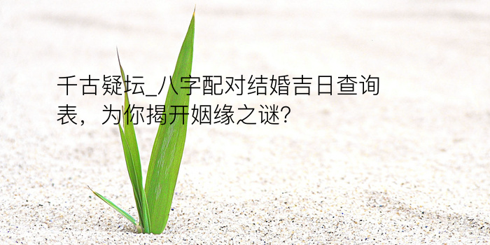 称骨算命八字游戏截图