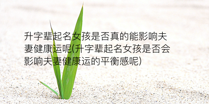 周易取名咨询游戏截图