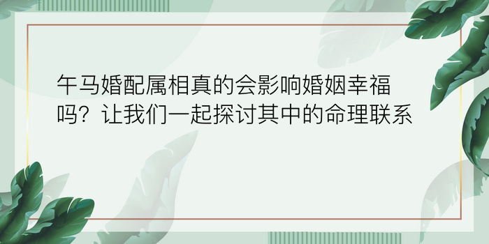 午马婚配属相真的会影响婚姻幸福吗？让我们一起探讨其中的命理联系