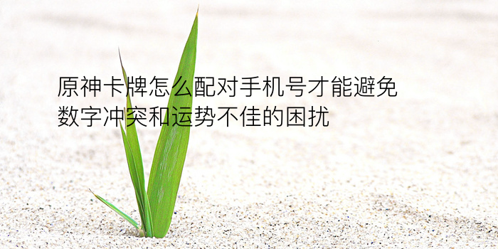 生日配对查询序列号游戏截图