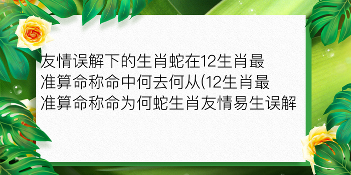 友情误解下的生肖蛇在12生肖最准算命称命中何去何从(12生肖最准算命称命为何蛇生肖友情易生误解)