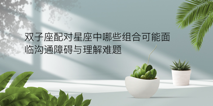 兔属相婚配表游戏截图