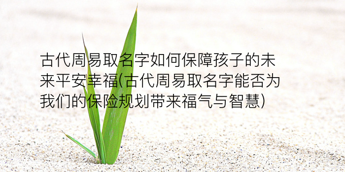 周易费取名游戏截图