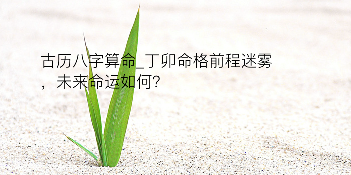 八字终身算命游戏截图